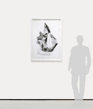 Load image into Gallery viewer, Perspective:Alex Vignoli (b.1965-) Inflexible but Soft, 2016 Photo Montage on paper 36 x 24 inches Edition of 25 Framed Dimensions: 41.50h x 29.50w x 2.50d inches at Manolis Projects Gallery