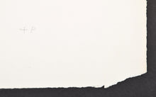 Load image into Gallery viewer, Matisse (Printer's Proof), 1976