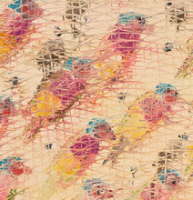 Load image into Gallery viewer, Hunt Slonem, Gouldians detail, 1989, Oil painting on canvas, 66 x 88 inches, Hunt Slonem art for sale, Hunt Slonem bird paintings