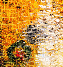 Load image into Gallery viewer, Close up image of a cockatoo from Hunt Slonem’s cockatoo oil painting “Haitian Rope,”  painted in 1993 in oil paint on canvas measuring 37 x 37 inches. Framed wall art by Hunt Slonem for sale at Manolis Projects gallery.