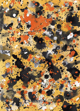 Load image into Gallery viewer, Orange & Black, 2004