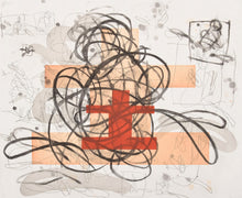 Load image into Gallery viewer, Detail: Louisa Chase (1951-2016) Baby, Baby, 1991 Etching with Aquatint on paper 33 x 28 inches Artist Proof 7/10 Edition of 35 Hand signed and numbered by artist. For sale at Manolis Projects Gallery in Miami. FL