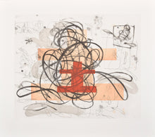 Load image into Gallery viewer, Louisa Chase (1951-2016) Baby, Baby, 1991 Etching with Aquatint on paper 33 x 28 inches Artist Proof 7/10 Edition of 35 Hand signed and numbered by artist. For sale at Manolis Projects Gallery in Miami. FL