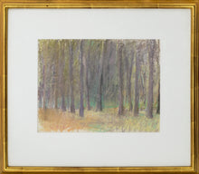 Load image into Gallery viewer, Framed:Wolf Kahn (1927-2020) Oaks, 1988 Pastel on paper 9 x 12 inches (unframed) This isi landscape of trees with greens and yellow, Available at Manolis Projects Gallery Edit alt text