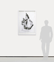 Load image into Gallery viewer, Perspective:Alex Vignoli (b.1965-) Inflexible but Soft, 2016 Photo Montage on paper 36 x 24 inches Edition of 25 Framed Dimensions: 41.50h x 29.50w x 2.50d inches at Manolis Projects Gallery
