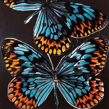 Load image into Gallery viewer, Untitled (Butterflies), 1998
