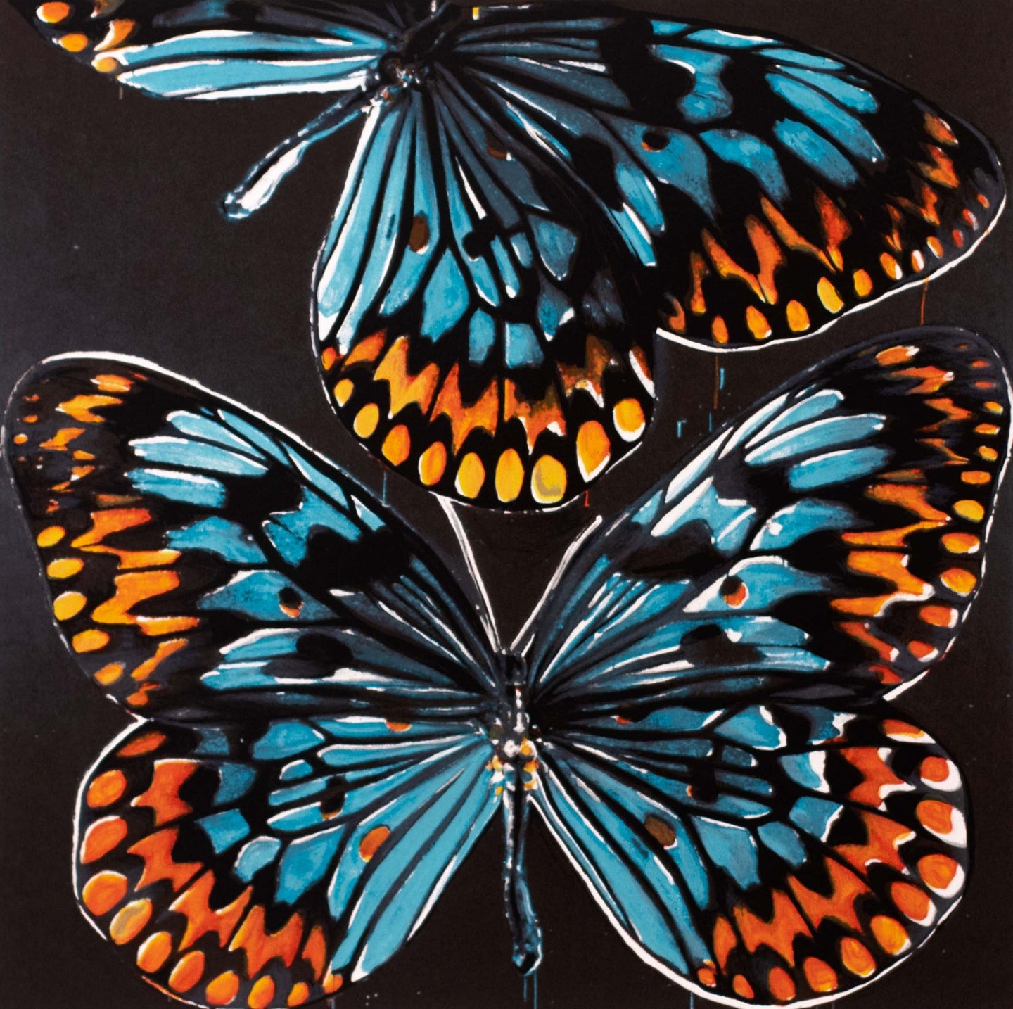 Untitled (Butterflies), 1998