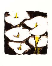 Load image into Gallery viewer, Untitled (Calla Lilies), 1998
