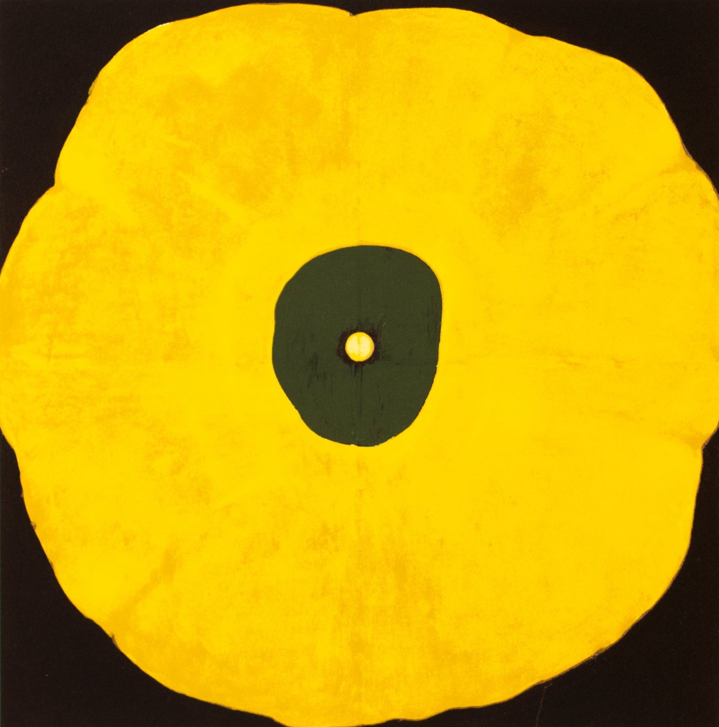 Untitled (Poppy Flower), 1998
