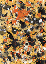 Load image into Gallery viewer, Orange &amp; Black, 2004
