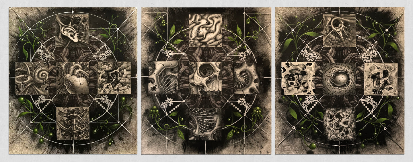 Samuel Gomez (b.1975-) Renascence (Triptych), 2018 Graphite, ink and acrylic on paper. 29 x 66 inches 29 x 22 inches (each panel) at Manolis Projects gallery