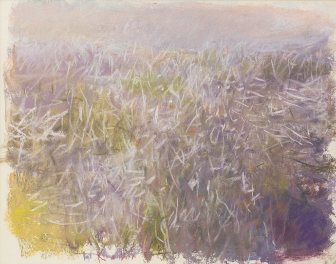 Wolf Kahn  A Field of Brambly Bushes, 2005  Pastel on paper  14 x 17 inches (unframed size), This is an abstract landscape showing his painting mastery. Shades of purple are mixed with green, yellow, and cream. Available at Manolis Projects Gallery.